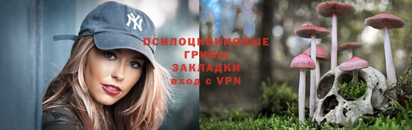 mix Вяземский