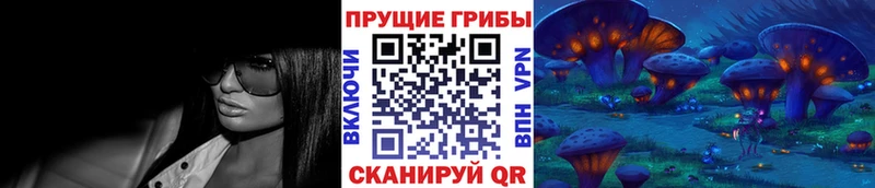 Галлюциногенные грибы Cubensis  Иннополис 